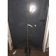 Złotokap szczepiony na pniu kulisty żółty - sadzonki 120 / 140 cm